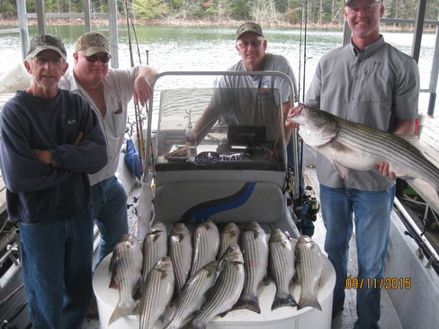 Nice Striped Bass